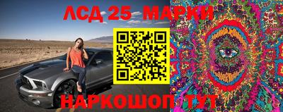 ГАЛЛЮЦИНОГЕННЫЕ ГРИБЫ Кинель