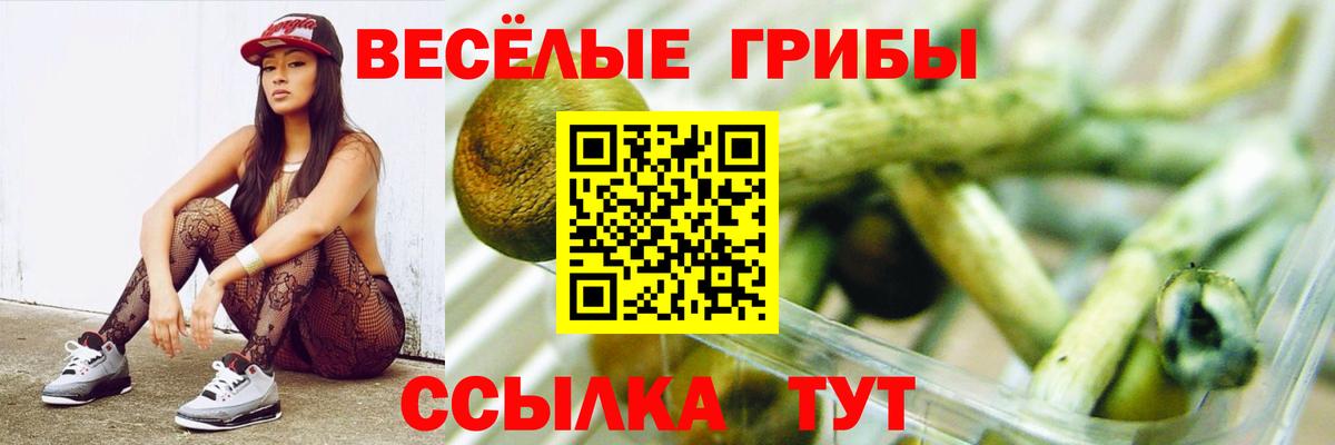 Псилоцибиновые грибы мицелий Костомукша