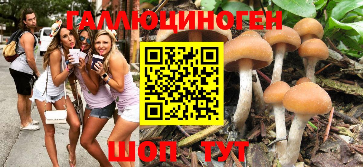 Псилоцибиновые грибы Magic Shrooms  Вход с VPN  Костомукша 